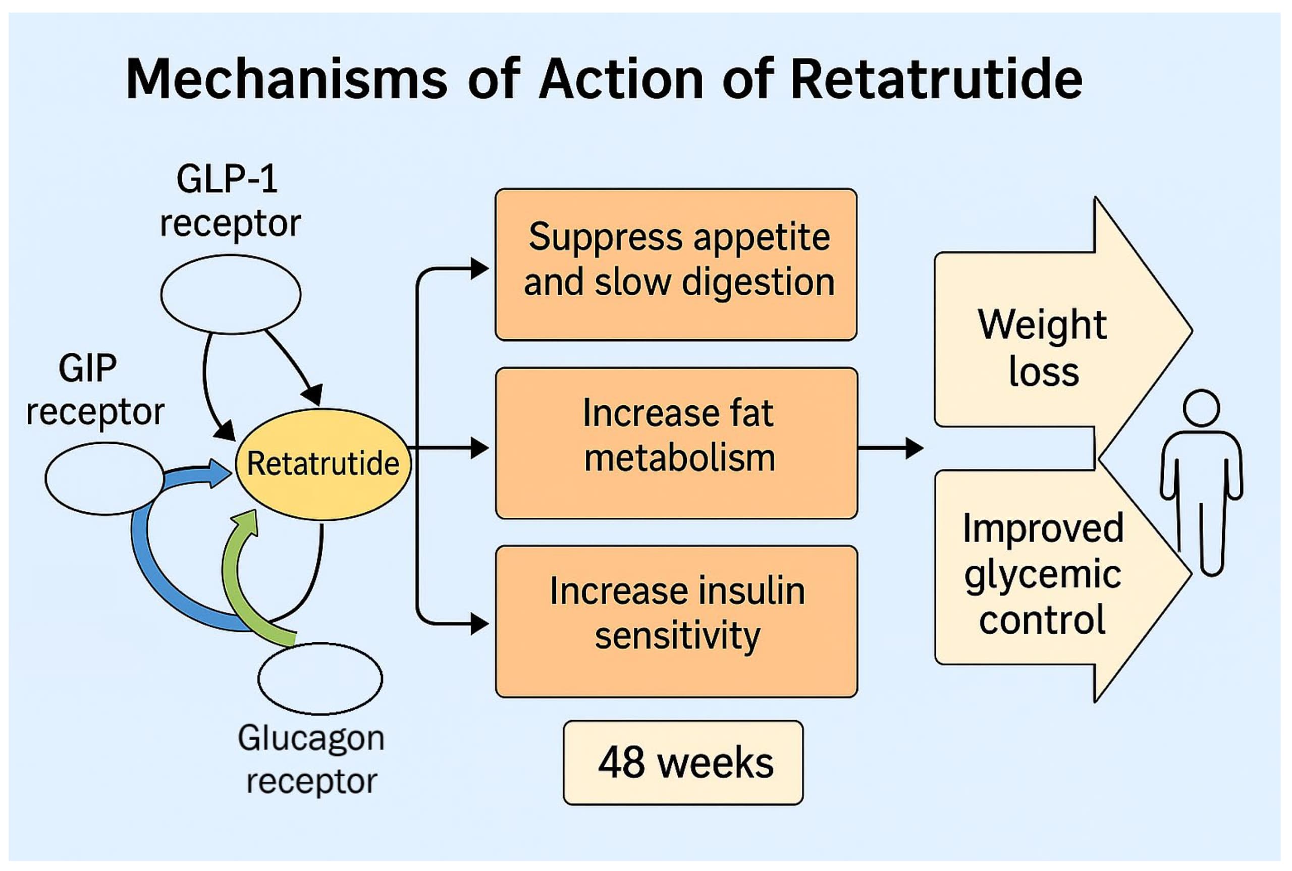 Retatrutide: The Triple Agonist Revolutionizing Metabolic Health Beyond Weight Loss